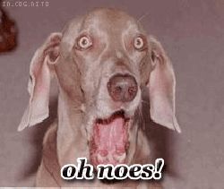 oh_noes.gif