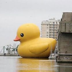 rubber-duck.jpg