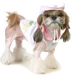 dog-fashion-2.jpg