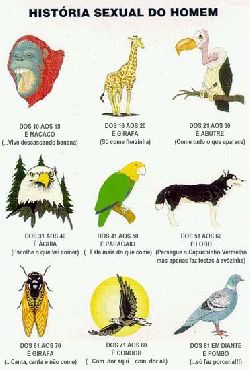historia sexual homem.jpg